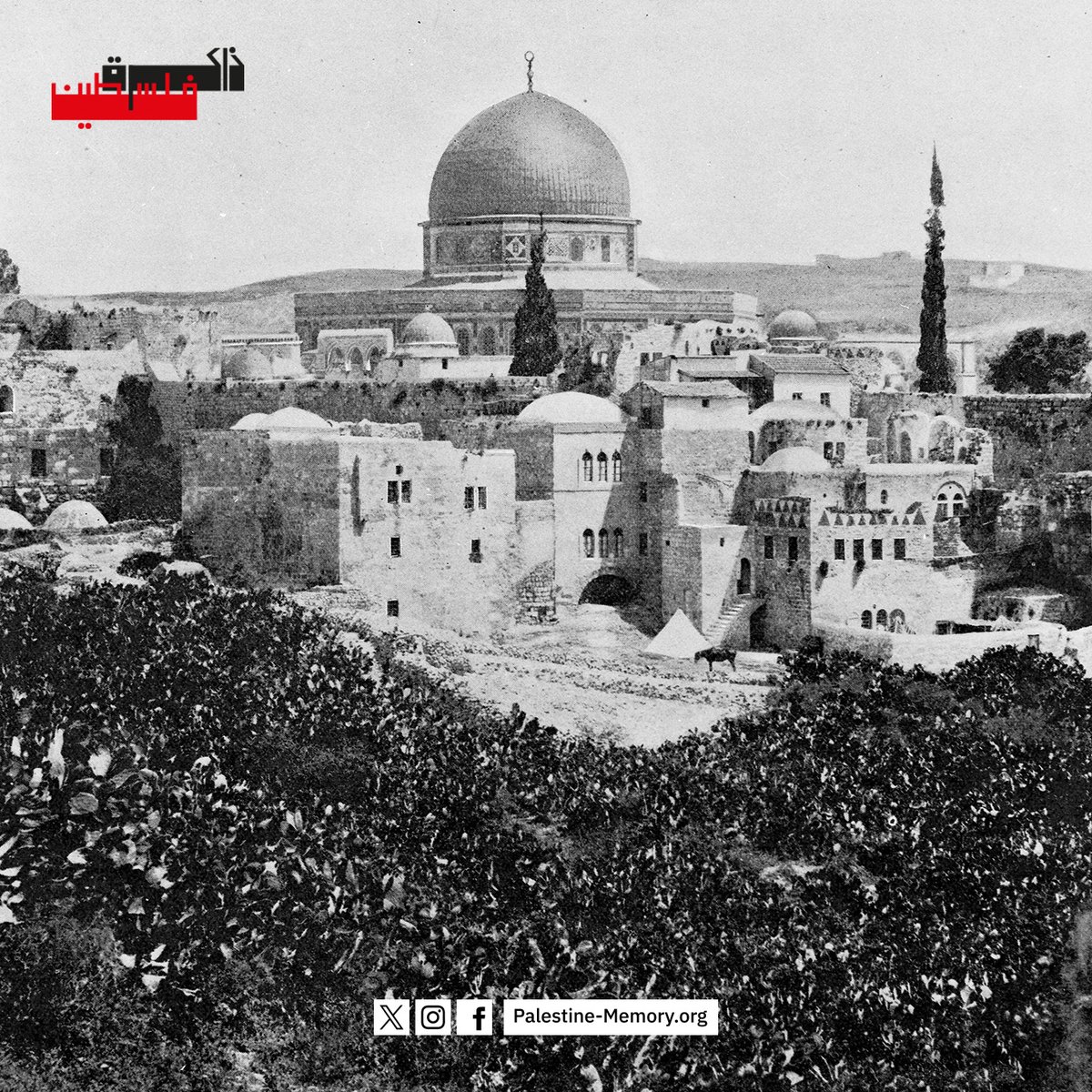 كل عام وأنتم بخير
بمناسة رأس السنة الهجرية
مشهد لقبة الصخرة وجوراها، من مجموعة إسماعيل شموط على موقع #ذاكرة_فلسطين