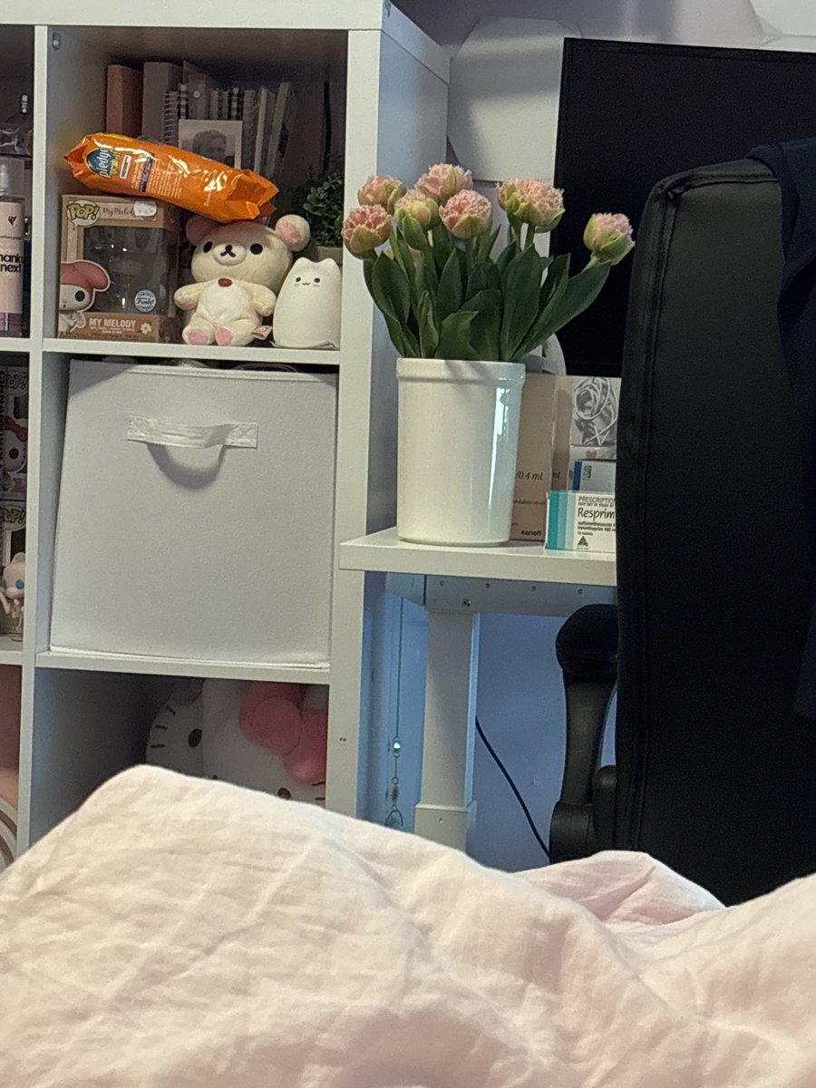 Ignore my messy room >////< but my mum bought me rare tulips to cheer me up 🤍 they're so pretty!!