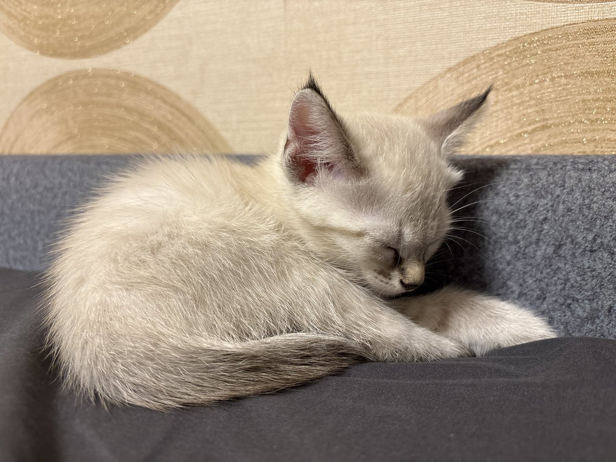 Теперь я тоже мать