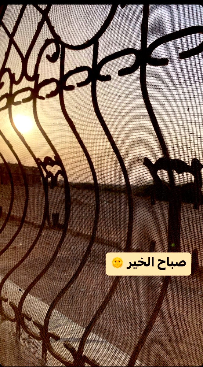 بسمة أمل 🇵🇸 tweet media