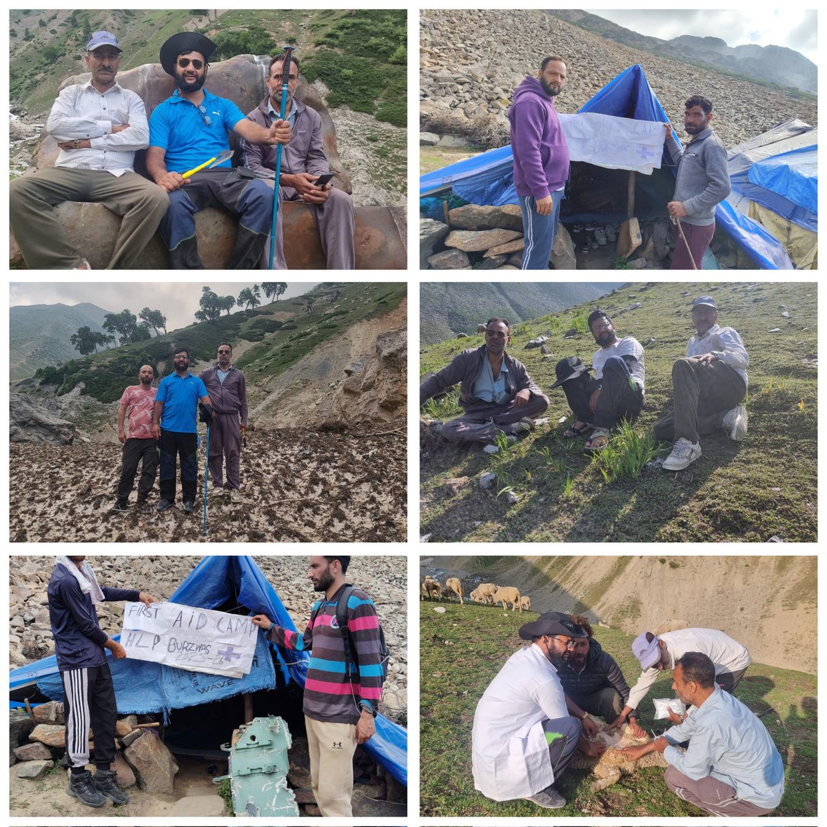 SheepDistr26375's tweet photo. Bravehearts of SHD Srinagar executing the work with indomitable spirit &amp; dedication in some of the most treacherous #highlandpastures of Burzwaas, Hoksar, Nichnai, Mengandub etc
Keeping the scourge of #FMD at bay on these lofty heights by vaccination. 
@srinagaradmin 
@DirSHDK https://t.co/7SlJNVsHtG