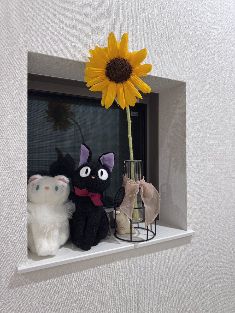 昨日は今シーズン最後のミーティングでした！

改めて今シーズン共に活動させて頂いた感謝の気持ちや、どんな1年だったかを言葉にすると走り抜けた達成感や寂しさが込み上げてきました🥲

Mizukiさんからは素敵なプレゼントを頂きました🌻ありがとうございます✨

#アスフレ
#Zgirls