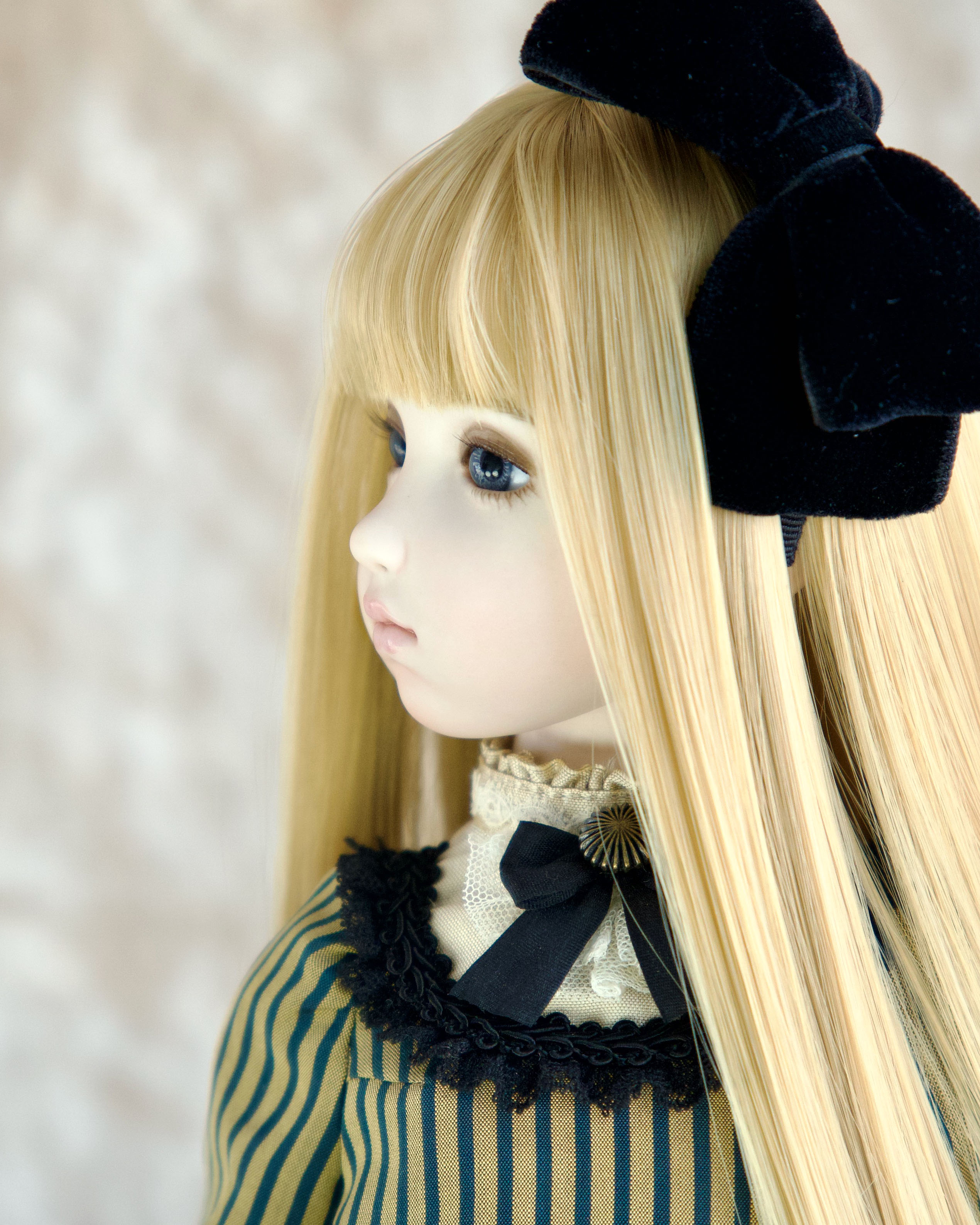愛しのfield 絵画原画+doll小鳥