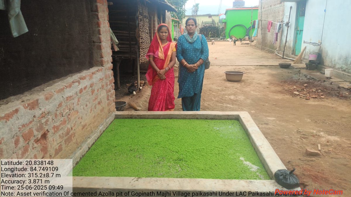 Cemented Azolla pit block Athmallik,Angul district