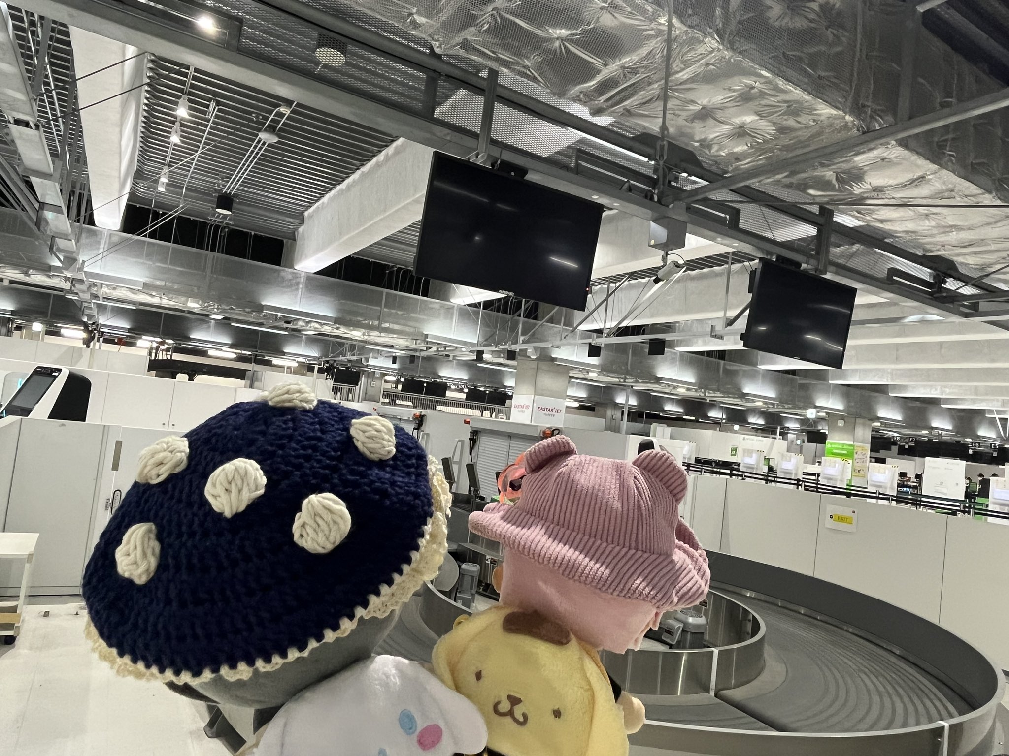 【中古】 𓅪さとちゃん(めっぽう気さく)𓅪 on  X: 洗顔料