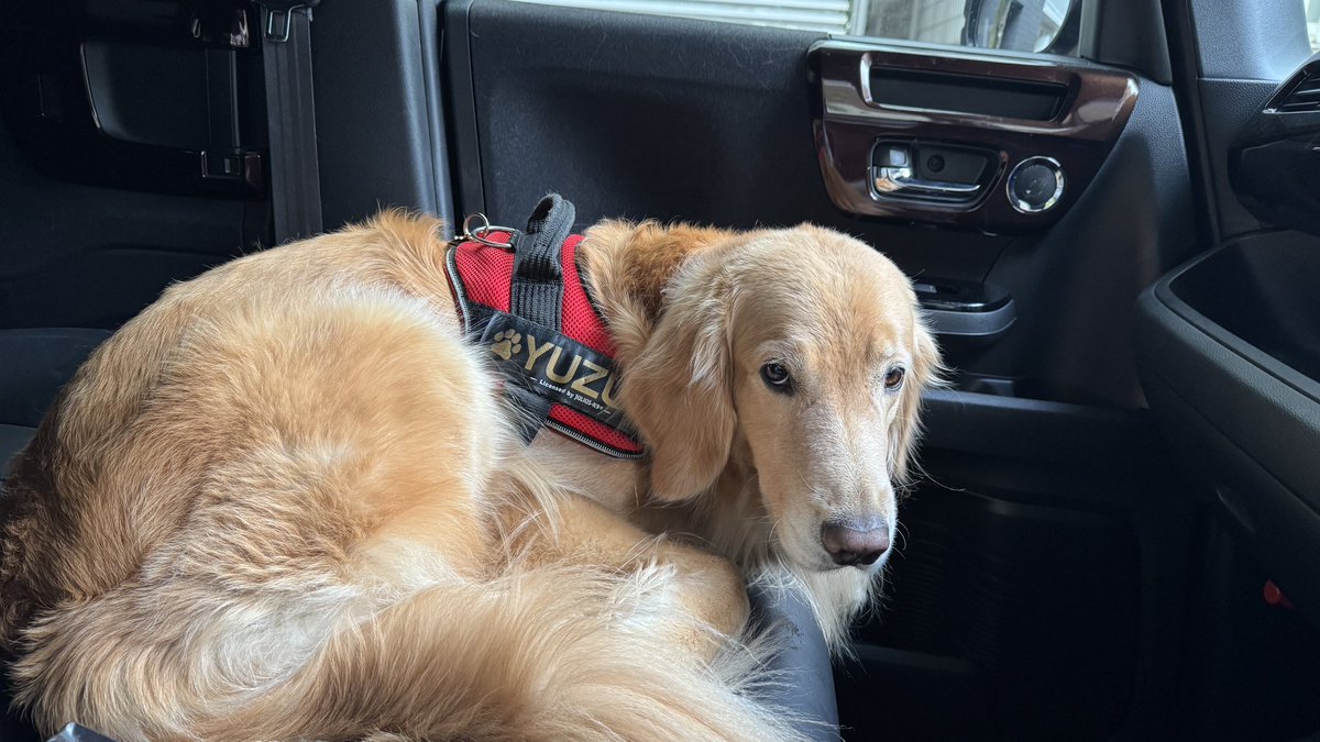 なんか怒ってますが気のせいでしょうか