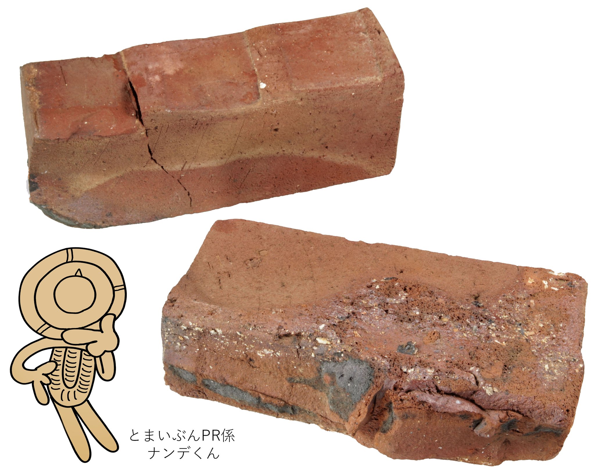 第42回 埋蔵文化財研究集会 古代寺院の出現とその背景2分冊 第42回 埋蔵文化財研究集会 古代寺院の出現とその背景2