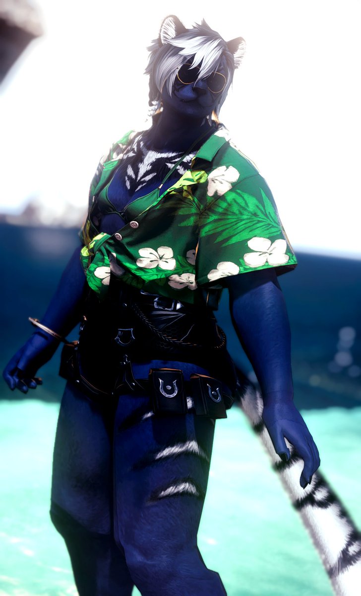 i never get to take my favorite butch tiger anywhere

#ffxivsummerbash