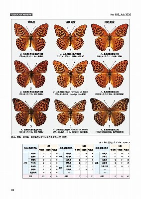 新着書籍】 月刊むし 2025年07月号（653号）B5, 64pp. 1,430円 （税込