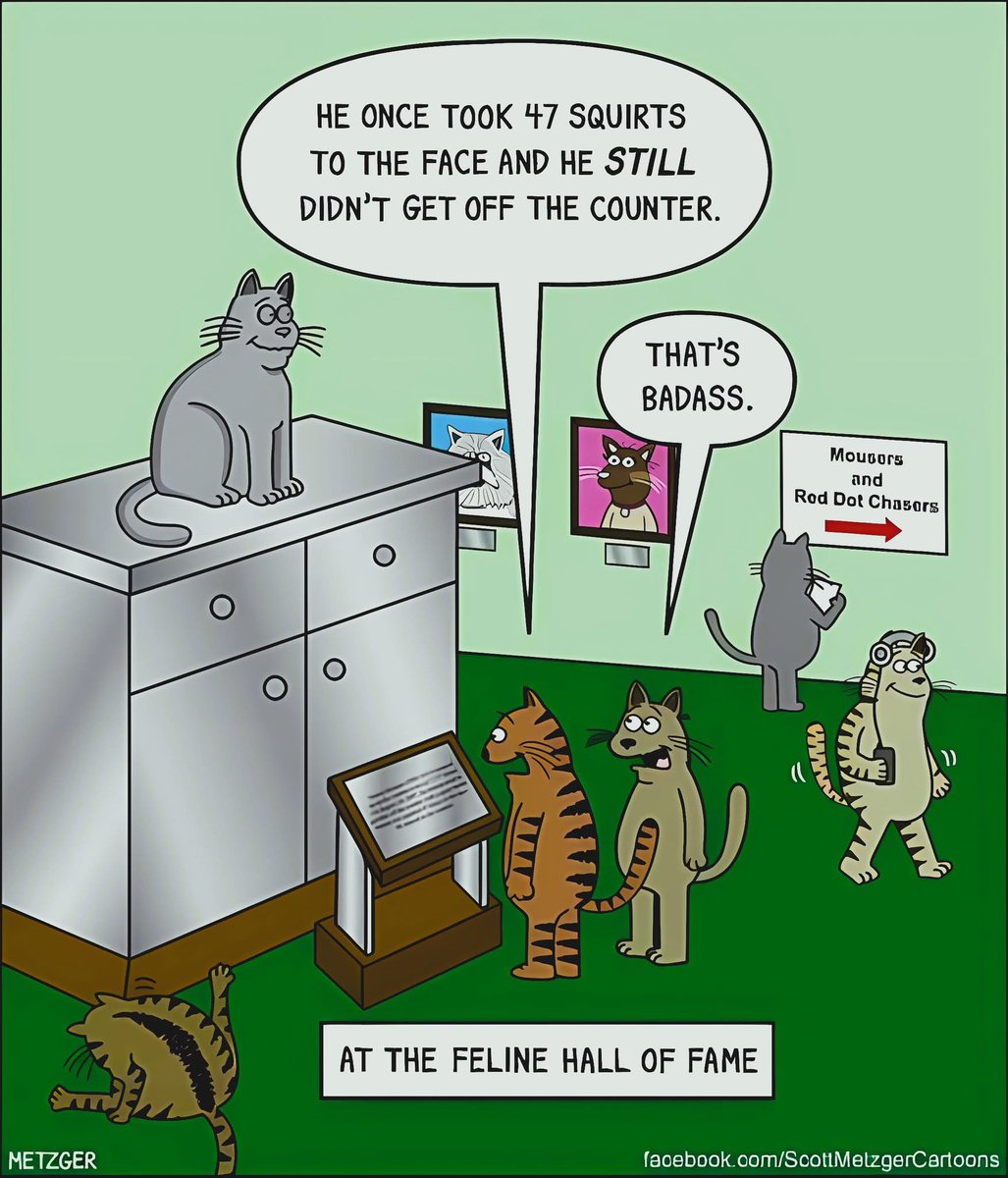 😹😹