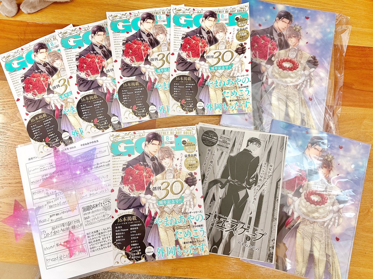 やまねあやの スペシャルセット やまねあやの スペシャルセット