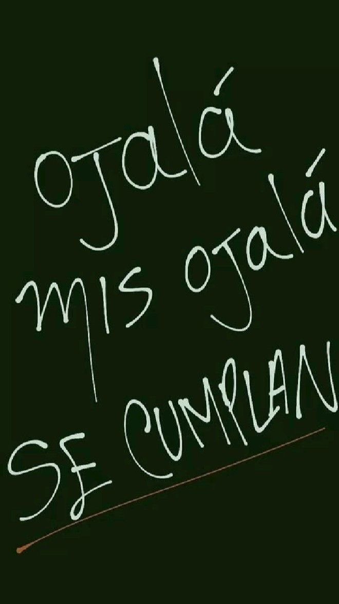 Natalia Xacur tweet media