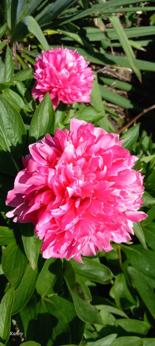 Kanny (@claudiamelissen) on Twitter photo 