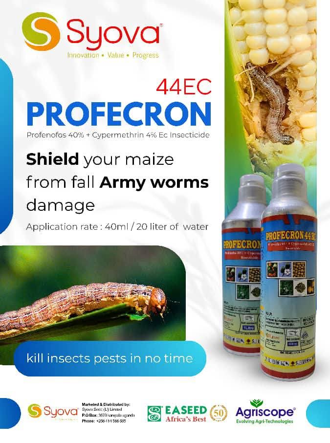 a_syova's tweet photo. π Fall Armyworm can cause up to 80% yield loss if left unchecked!
π‘οΈ Fight back with Profecron 44EC β dual-action power from Cypermethrin + Profenofos.
π½ Protect your maize, protect your profits!
π 0778884885 | 0700399409
#SyovaSeedUG #FAW #Profecron44EC #MaizeProtection https://t.co/mRNSG6eyCi