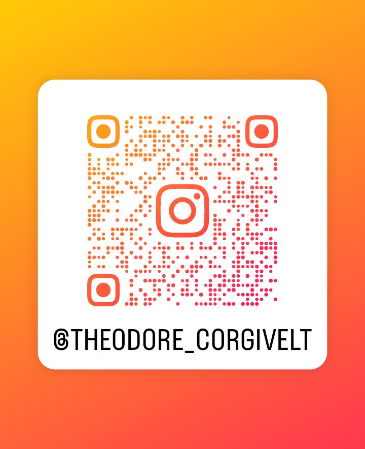 imcorinnemec's tweet image. #TheodoreCorgivelt has an @instagram #follow #like #share #corgis 

instagram.com/theodore_corgi…