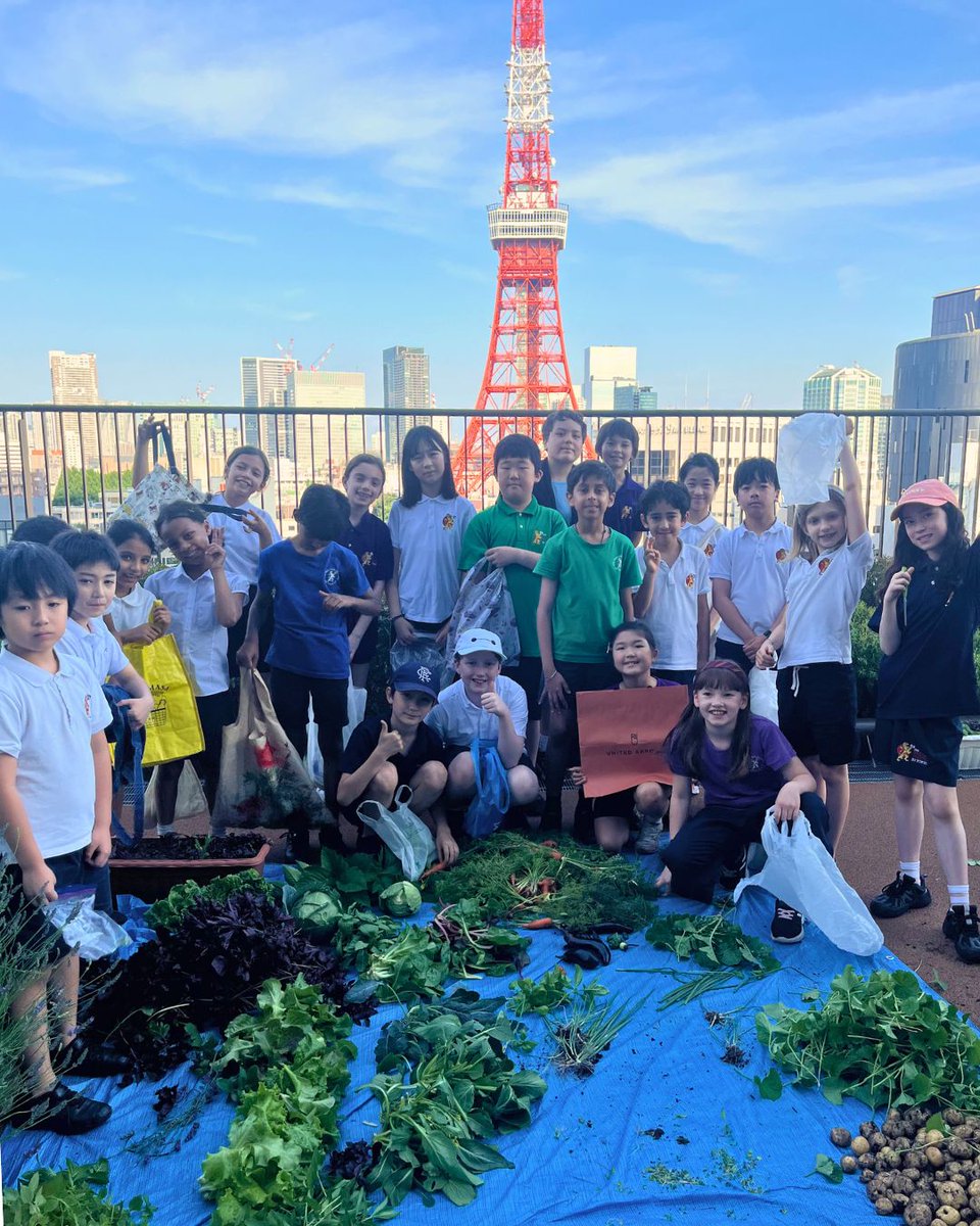 The final BST Primary 'Urban Farming' club session of the year was a huge success, with the rooftop briefly turned into a mini farmers’ market before students packed up their produce to take home. A wonderful conclusion to a hands-on learning experience rooted in sustainability.