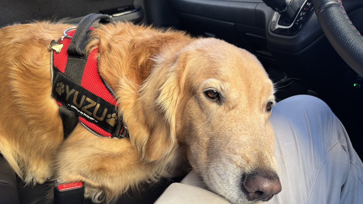 車内で休憩中〜軽自動車やコンパクトカーにも後部座席エアコン欲しいンゴね