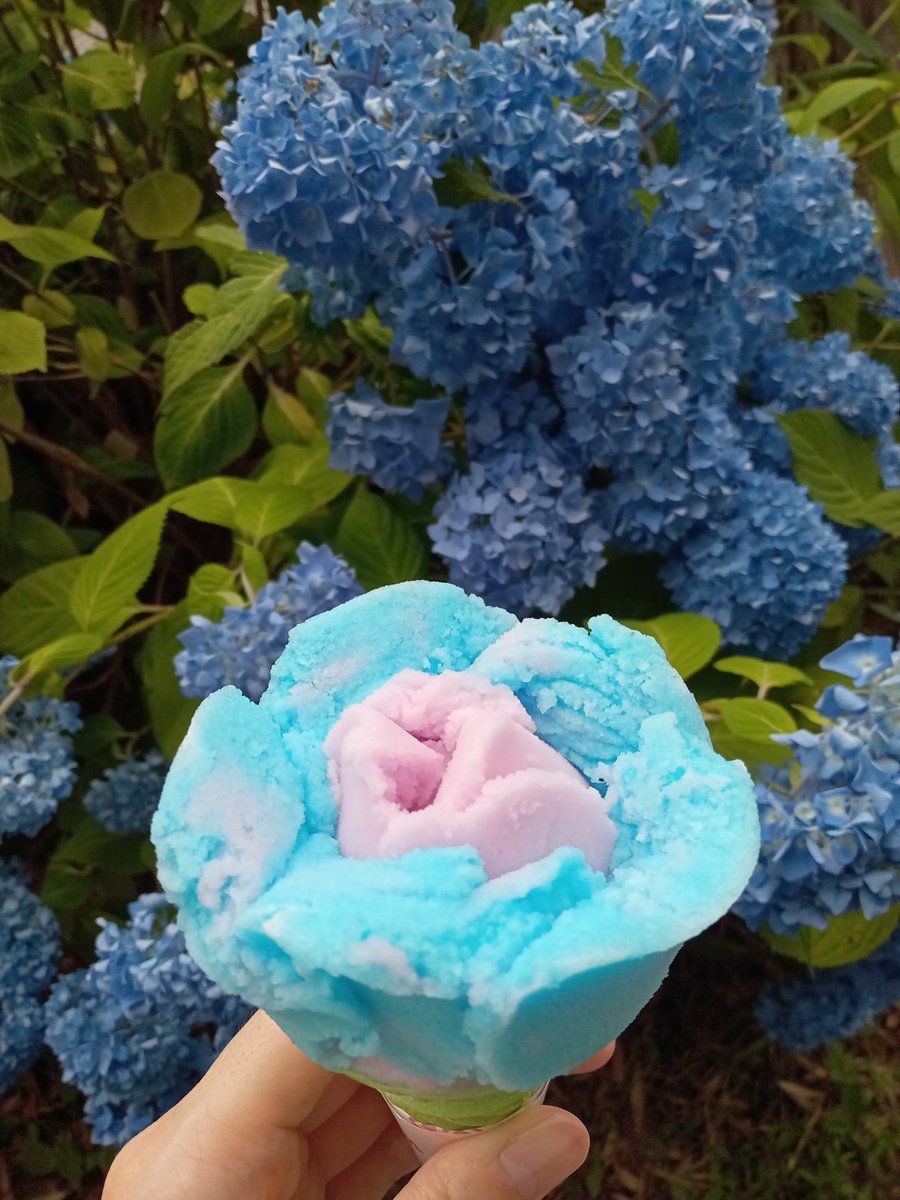 04sakura15's tweet photo. 限定のババヘラ🍦 https://t.co/NOvTDgy9WY