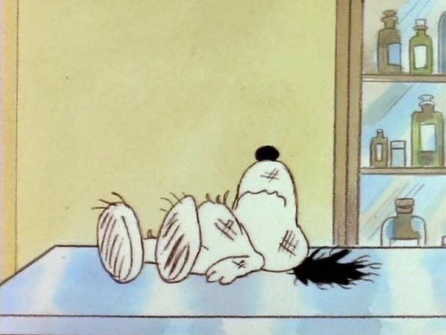 snoopy lover (@snoopyfever_) on Twitter photo 