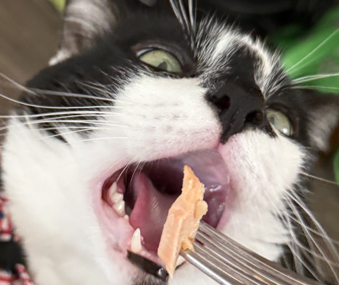 <a href="/AnnaDsays/">🇺🇸 Duchess of Summertime Sadness 🇺🇸</a>