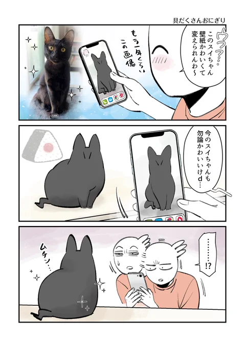 栄養たっぷり具だくさんおにぎり 