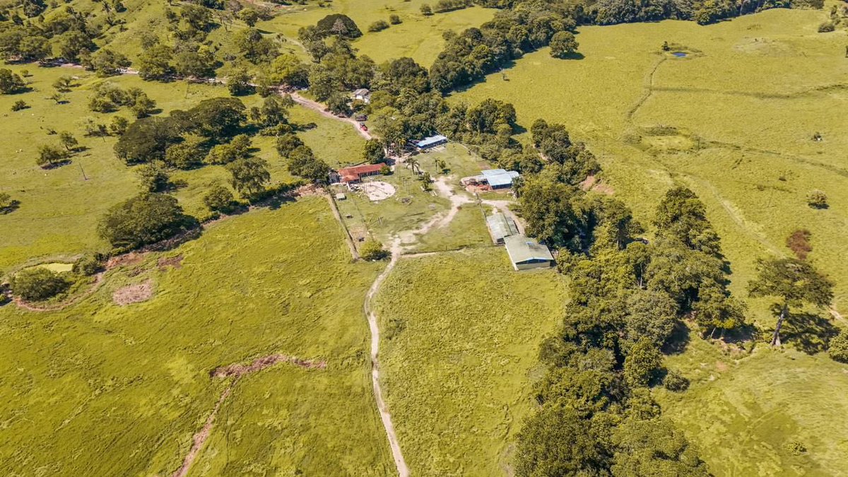 harmanfelipe's tweet photo. Después de 3 horas por trocha y a pie, junto a un equipo de profesionales de la @AgenciaTierras, recuperamos más de 30 predios en Puerto Salgar, que corresponden a 3.000 hectáreas de tierras, que años atrás fueron corredores del narcotráfico, donde operaban ‘Gacha’ y el ‘Harlista de la mafia’.

Puerto Salgar no había sido prioridad en ninguna política de desarrollo rural. Hoy estamos cambiando la historia, porque cuando recuperamos tierras de la nación, desmantelamos la geografía del crimen y la ilegalidad.