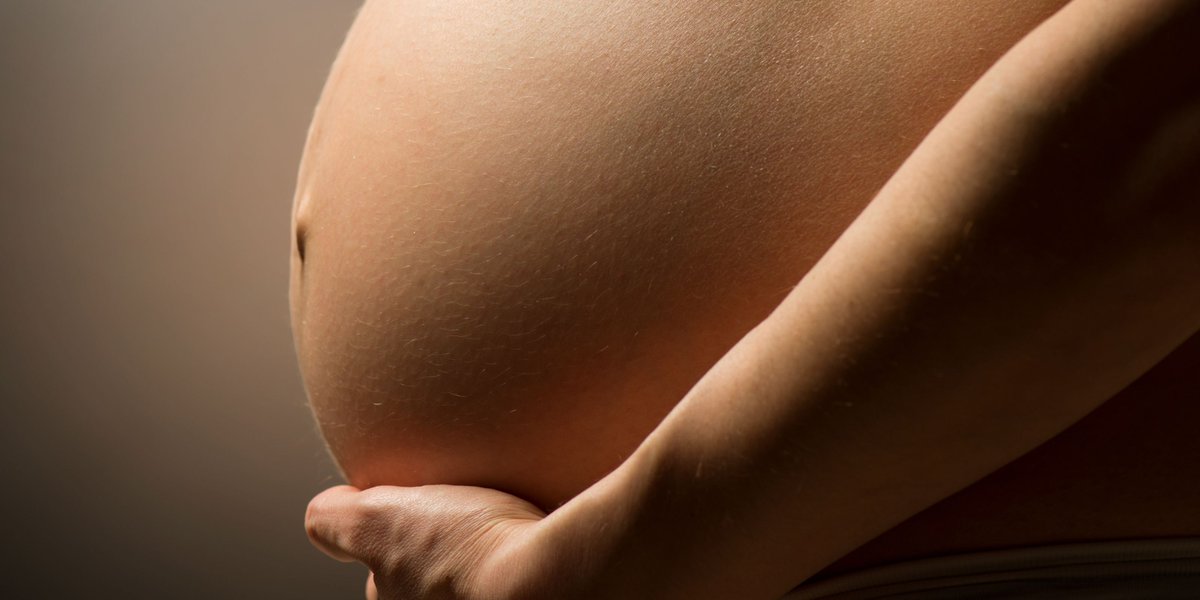 HDA - Healthy Development Adelaide (@hda_sa) on Twitter photo Join us for the HDA & <a href="/RobsInstitute/">Robinson Research Institute</a> forum on Tick Tock in the Womb: How Biological Ageing Before Birth Drives Life-Long Health - 24 July 5.30pm with <a href="/YEWinstanley/">Yasmyn Winstanley</a> <a href="/DrAnyaArthurs/">Anya Arthurs</a> <a href="/drdmacintyre/">David MacIntyre</a> <a href="/UniofAdelaide/">Uni of Adelaide</a>š events.humanitix.com/tick-tock-in-t⦠Join us for the HDA & <a href="/RobsInstitute/">Robinson Research Institute</a> forum on Tick Tock in the Womb: How Biological Ageing Before Birth Drives Life-Long Health - 24 July 5.30pm with <a href="/YEWinstanley/">Yasmyn Winstanley</a> <a href="/DrAnyaArthurs/">Anya Arthurs</a> <a href="/drdmacintyre/">David MacIntyre</a> <a href="/UniofAdelaide/">Uni of Adelaide</a>š events.humanitix.com/tick-tock-in-tā¦