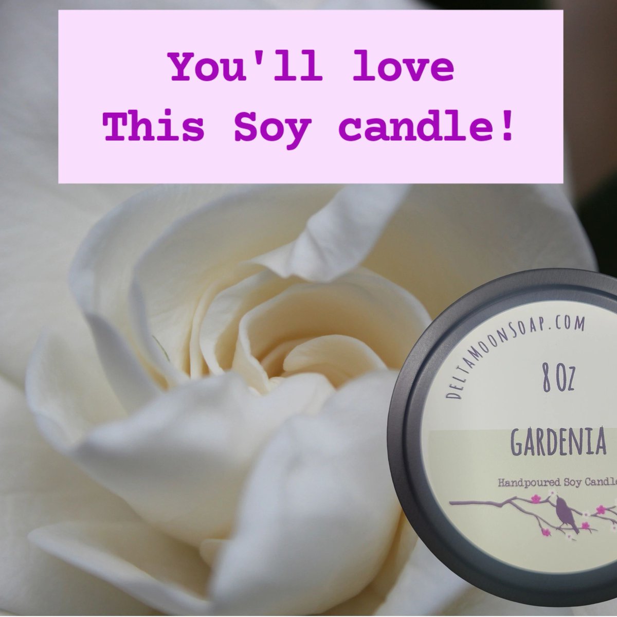 deltamoonsoap's tweet photo. #sustainableSoy #usGrown #cottonWicks #reusableContainer #MasonJarCandle #leadFree #small Business #artisanCandle #phthalateFree #gift #BirthdayGift https://t.co/9ji8Vd7o05