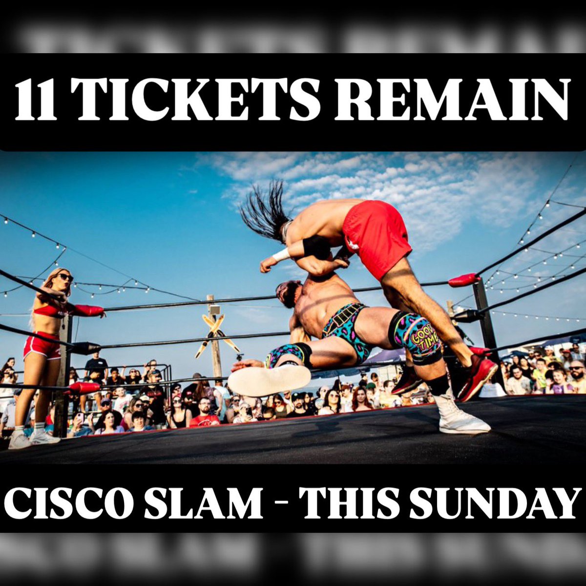 LIVE Pro Wrestling tweet media