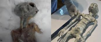 Here is something personal my life is sad and insane. All my friends passed away 500,000 years ago on an airplane. I saw them explode and fall out the sky . The coils had a malfunction and then everyone died