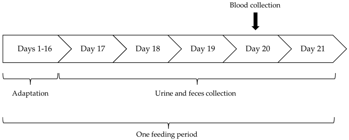 MetabolitesMDPI's tweet image. 🌟 #LastestPaper

📖 Effects of the #Dietary Fat #Concentration and #Fatty #Acid Pattern on the #Urine #Composition, Apparent Nutrient Digestibility, and Selected #Blood Values of Healthy Adult #Cats 

🧑🏻‍🔬By Prof.  Nadine Paßlack and colleagues.
🔗mdpi.com/2218-1989/14/1…