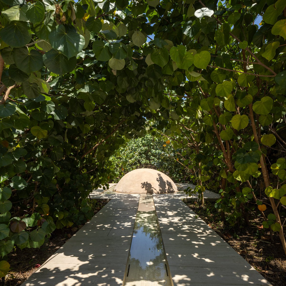 La naturaleza necesita tiempo, y responde con belleza. Estas fotos muestran el poder del diseño del paisaje en armonía con el entorno: un antes y después donde la vegetación cobra protagonismo, creciendo, envolviendo y transformando el espacio en Four Seasons Resort Tamarindo.