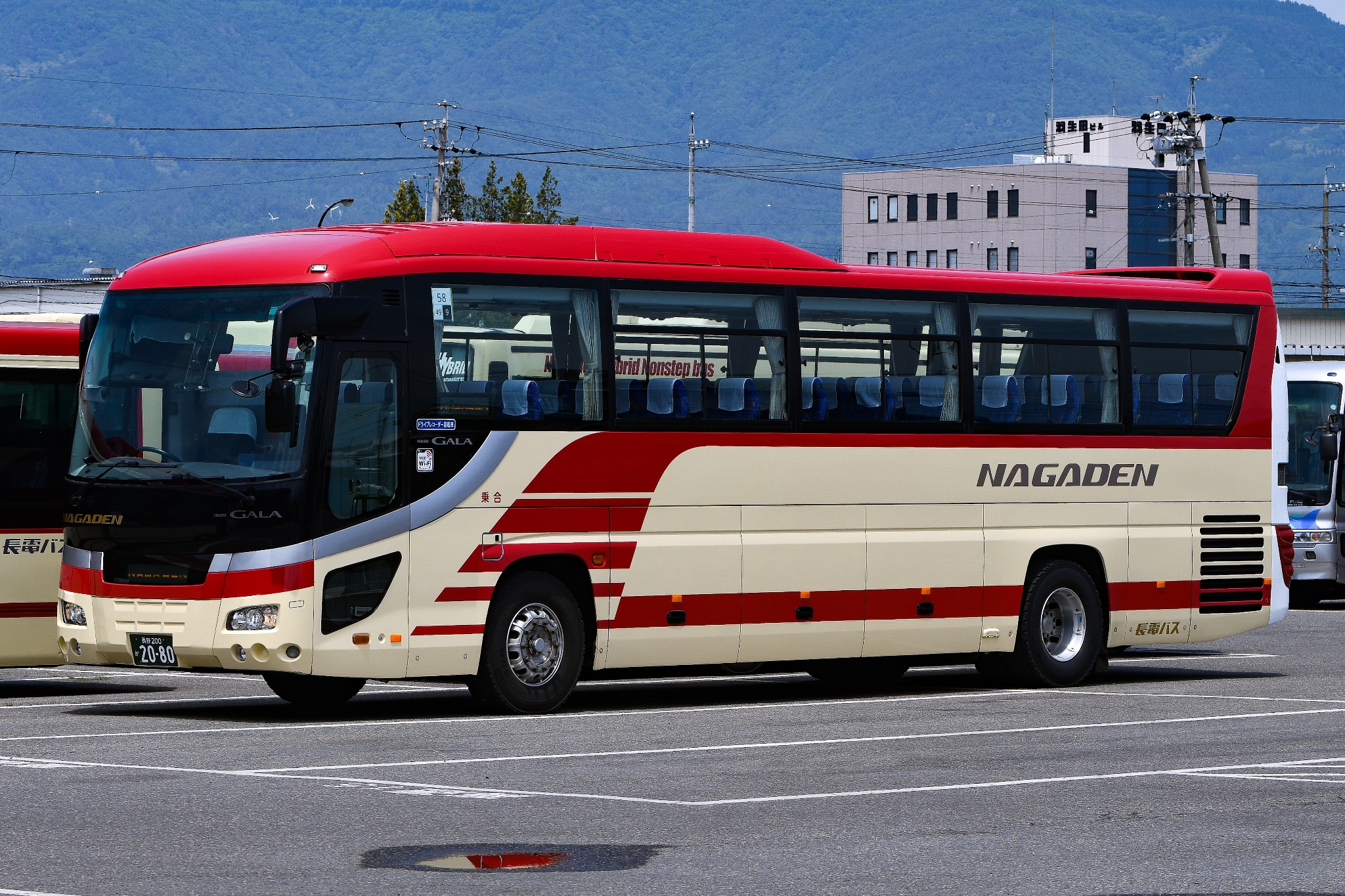 バカラカモシカです バカラ まねき猫 置物 クリスタル ガラス ゴールド 2612997