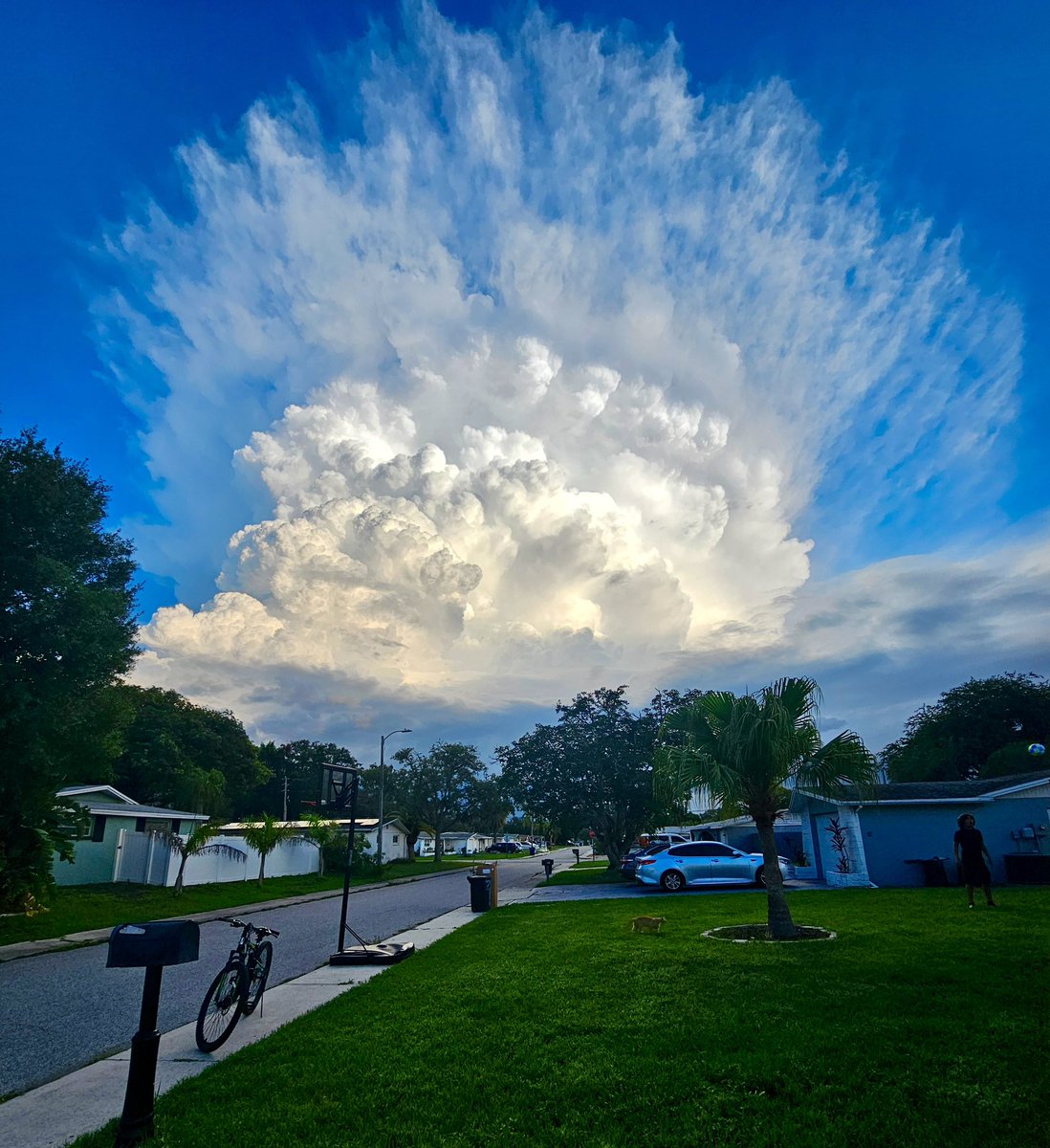 PaulFox13's tweet photo. Today’s severe thunderstorm over Pinellas as seen from Holiday. 📷 Derek Coe #Florida https://t.co/Bc3mtNTgf3