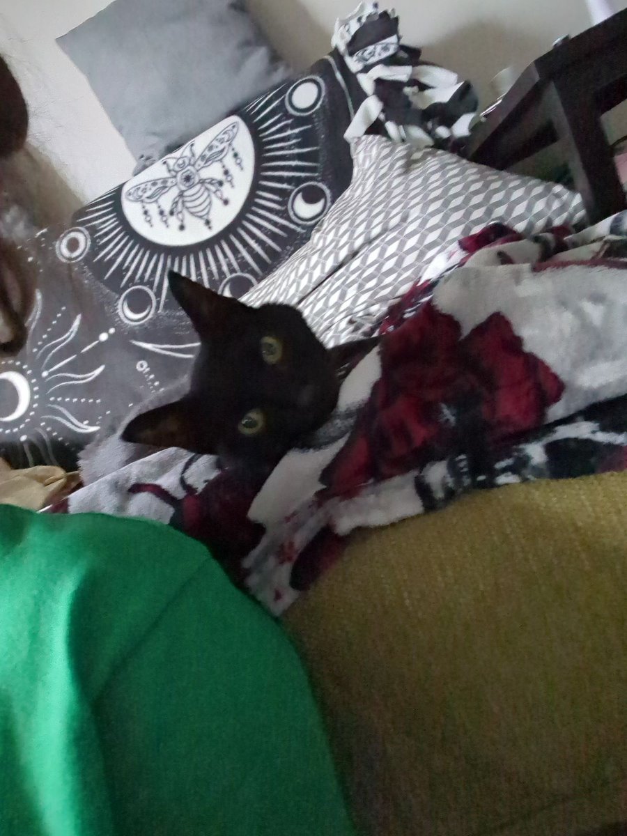 Leaping Lizard Cosplay & Gaming 💚🦎 tweet media