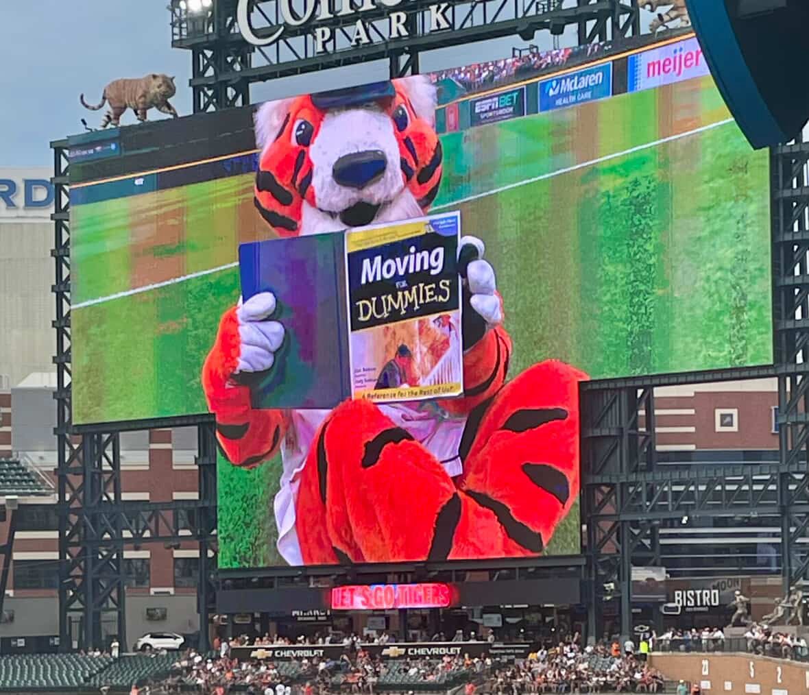 Last Dive Bar 🏟 tweet media