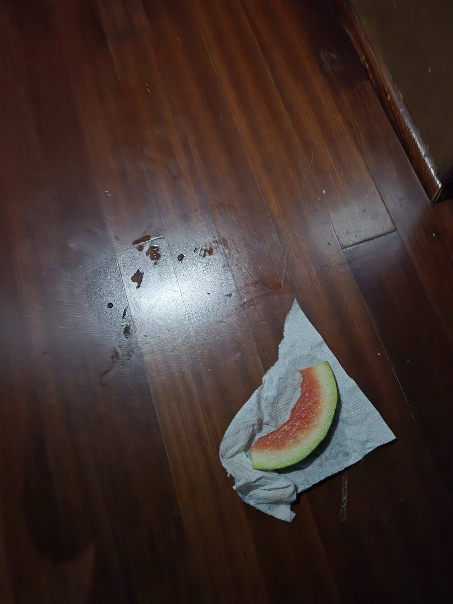 Tns tournament run 
Twitch.tv/nuckledu