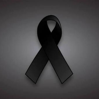 Brooklyn Guy tweet media