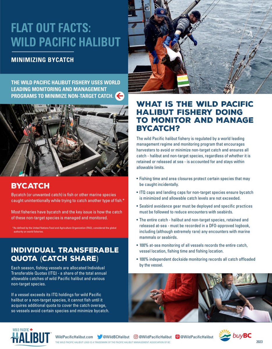 Wild Pacific Halibut tweet media