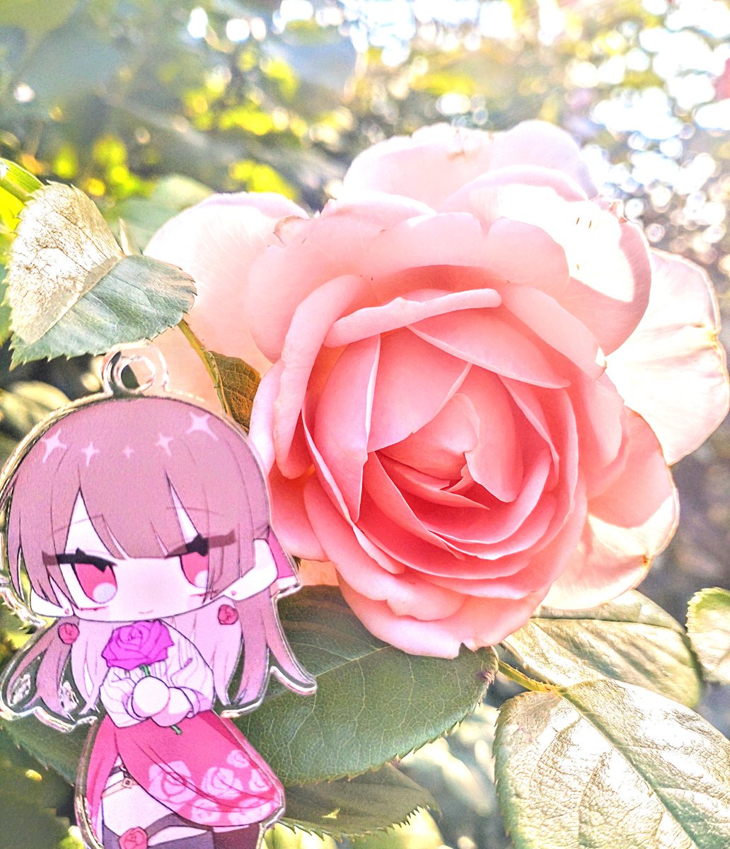 アイコンの子と一緒に優雅な生活送ってて神　これは普通に自慢