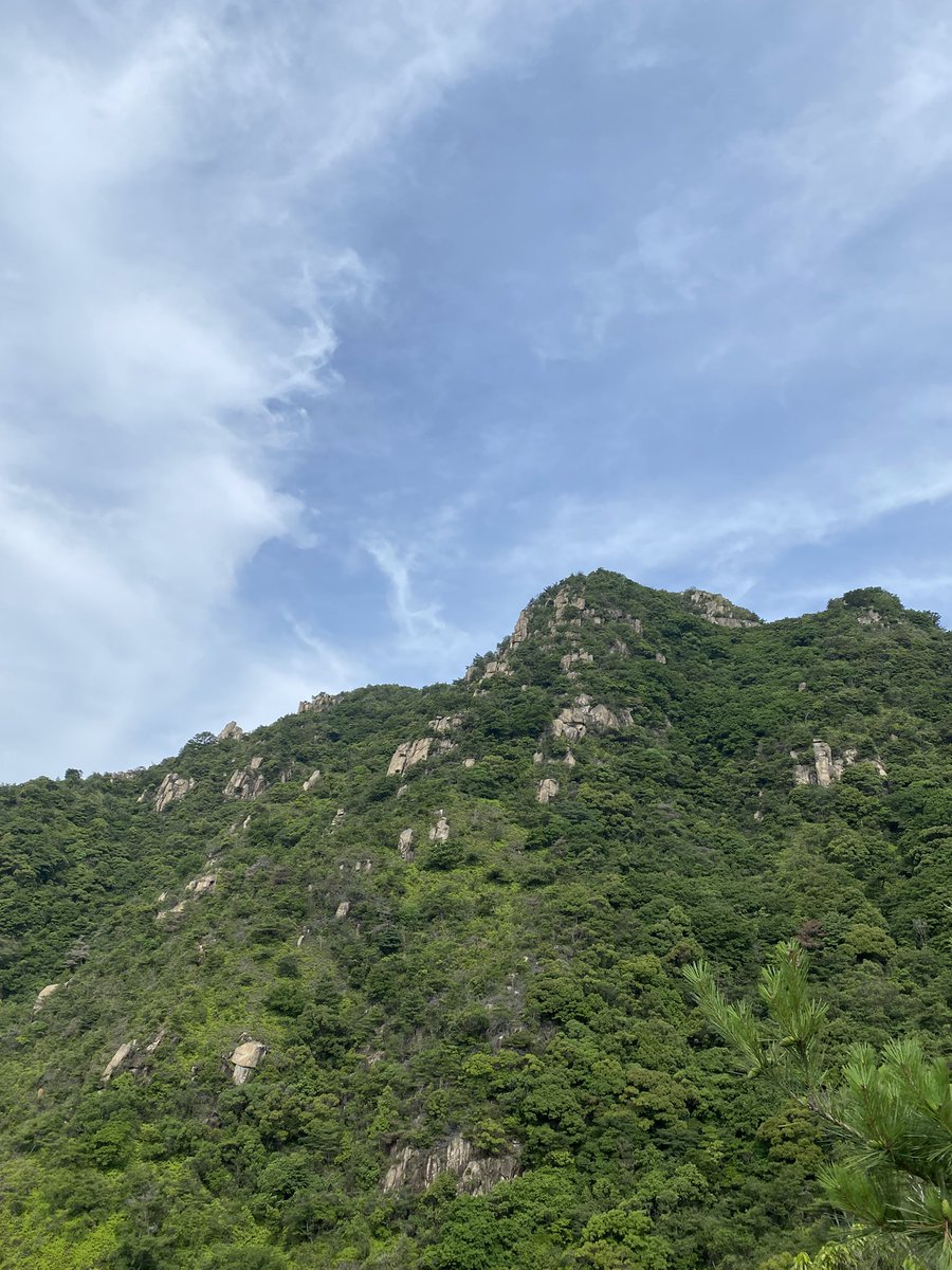 tatsuya4435's tweet photo. 右田ヶ岳に登りました❣️
今日は蒸し暑かったよ🥵 https://t.co/1kLTS5brz6