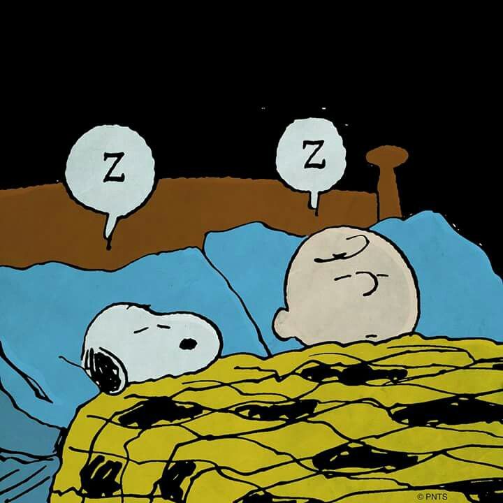 Snoopy (@snoopyhero53) on Twitter photo 