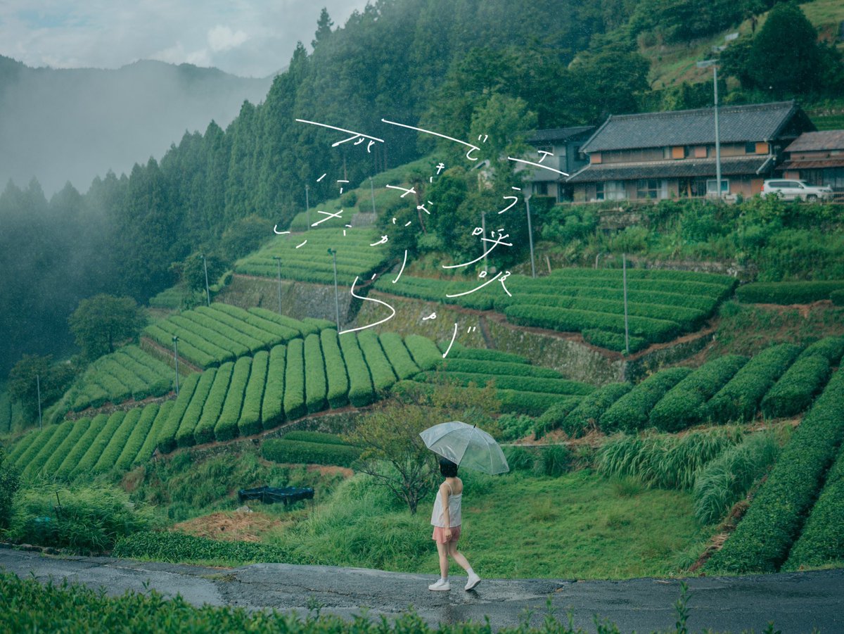 327__723's tweet image. 雨雨燦々