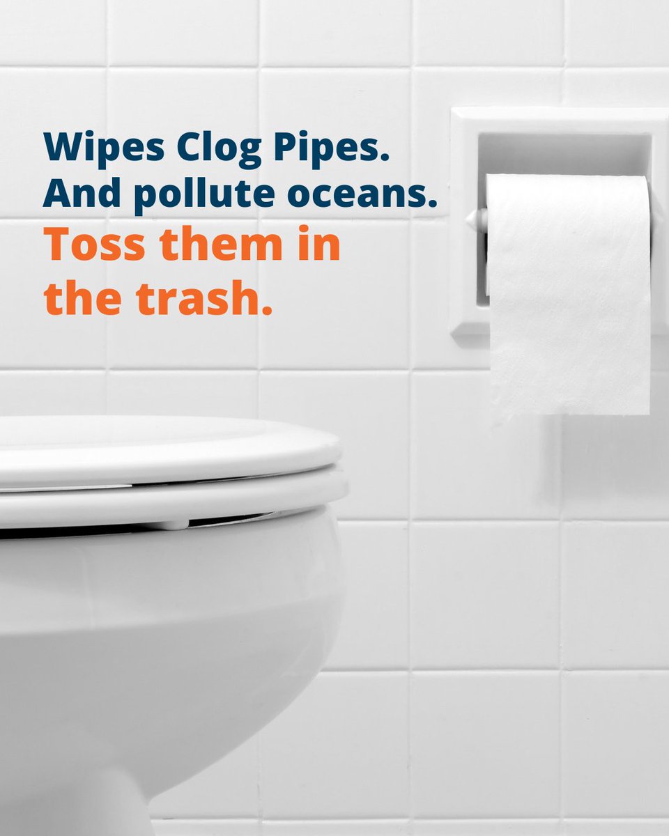 Wipes and toilets don’t mix. 🚫🚽 They clog pipes and harm our oceans. Always throw wipes in the trash.

Learn more about toxic household products: bit.ly/44tLOHu