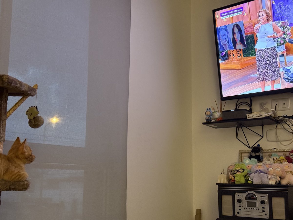 Zhizmozo dezde zhikito 🤣🤣🤣