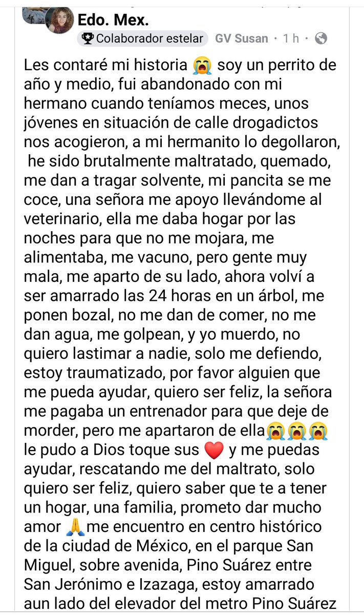 Abogado Animalista (@licanimalista) on Twitter photo Atención <a href="/UCS_GCDMX/">Unidad de Contacto del Secretario SSC CDMX</a> #BrigadaVigilanciaAnimal hay un reporte de perro maltratado con bozal que puede lastimarlo por no ser de canasto como lo señala la Ley de protección animal, en la imagen están datos de ubicación. CCP. <a href="/ClaraBrugadaM/">Clara Brugada Molina</a> <a href="/PabloVazC/">Pablo Vázquez Camacho</a> <a href="/AgatanCdmx/">Agencia de Atención Animal</a> <a href="/AlcCuauhtemocMx/">Alcaldía Cuauhtémoc</a> Atención <a href="/UCS_GCDMX/">Unidad de Contacto del Secretario SSC CDMX</a> #BrigadaVigilanciaAnimal hay un reporte de perro maltratado con bozal que puede lastimarlo por no ser de canasto como lo señala la Ley de protección animal, en la imagen están datos de ubicación. CCP. <a href="/ClaraBrugadaM/">Clara Brugada Molina</a> <a href="/PabloVazC/">Pablo Vázquez Camacho</a> <a href="/AgatanCdmx/">Agencia de Atención Animal</a> <a href="/AlcCuauhtemocMx/">Alcaldía Cuauhtémoc</a>
