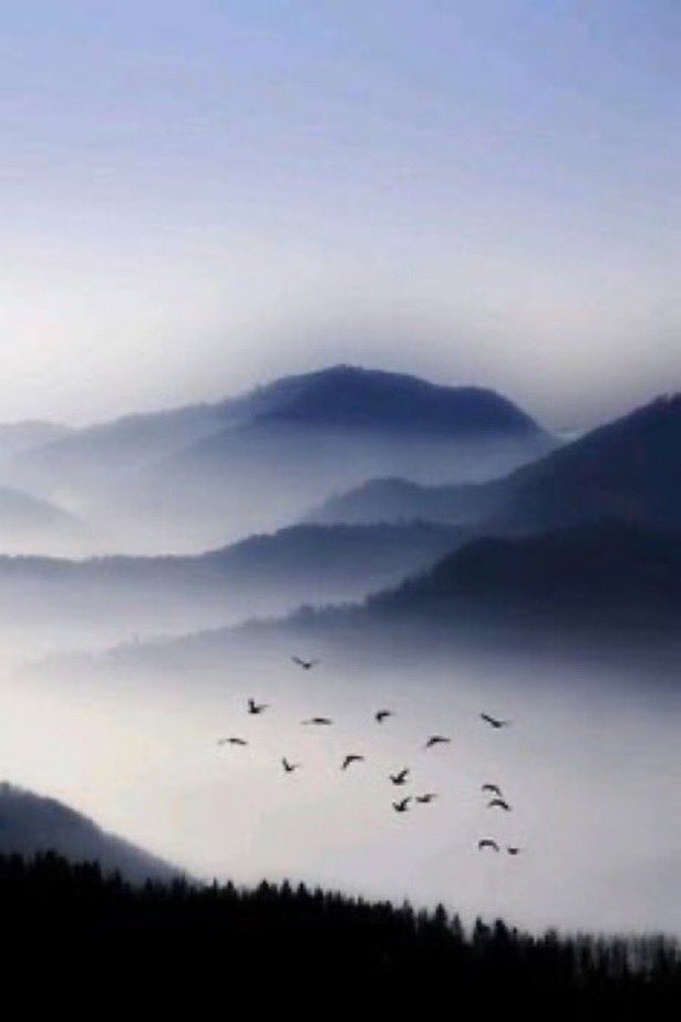 When I rise up, let me rise up joyful like a bird. 
When I fall, let me fall without regret like a leaf~

Wendell Berry

📷 Philippe Saint-Laudy