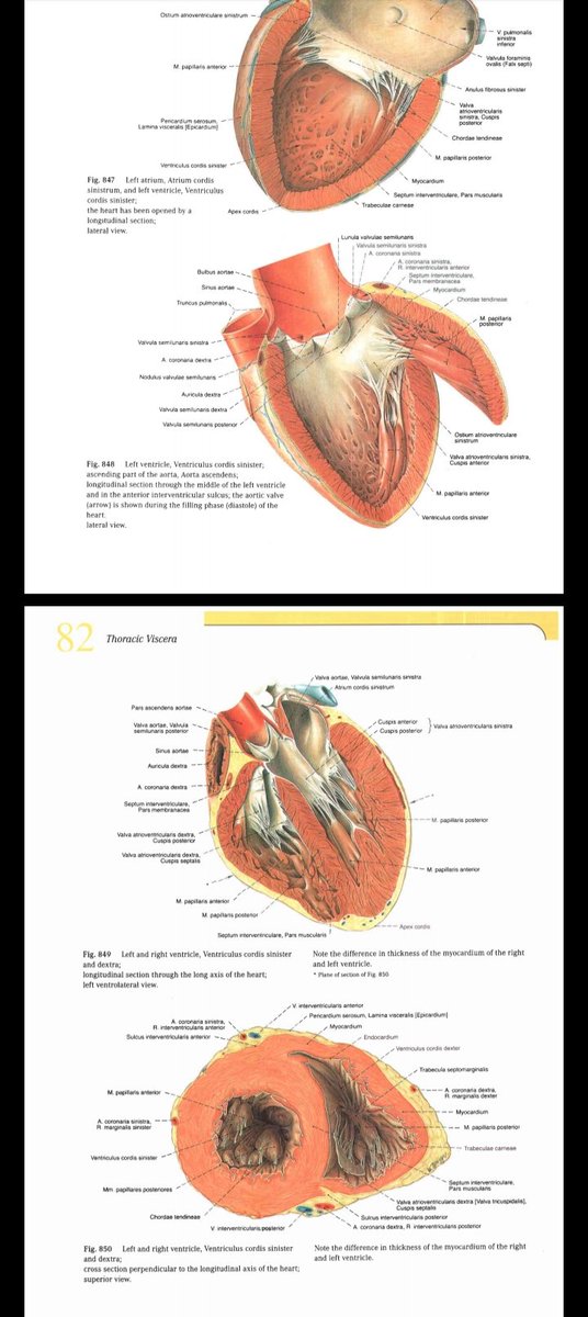 anak fk ga stres apa ya😟
