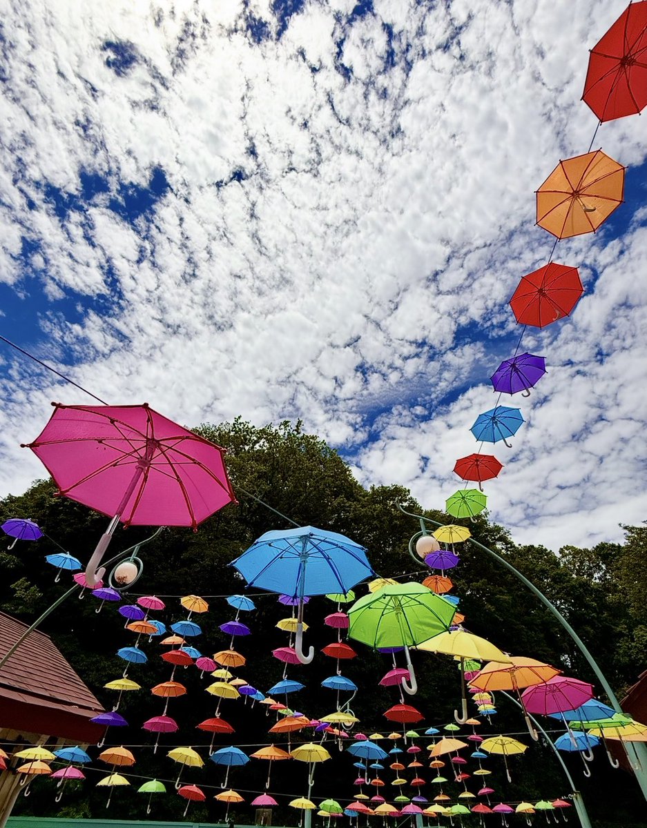 昨日に比べると少し涼しく感じるけど
昼間は蒸し暑かったり局地的に激しい
雨が降るみたいだね☁️☔️