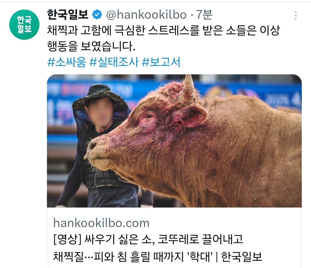 winduntouchable's tweet photo. 소싸움 경기장 업체에 매년 17억씩 지원이 되고 있었다고..필시 지역 토호일것이고..
하튼, 이런 잔인한짓 이제 그만 좀 하길...
============================ https://t.co/yWeslAGgmp